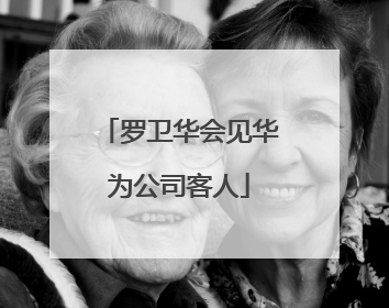 罗卫华会见华为公司客人